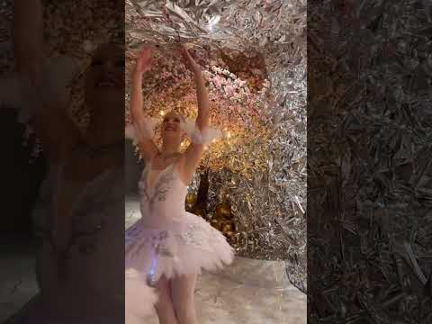 Promotional video thumbnail 3 for Zynth Events and Entertainment Inc.