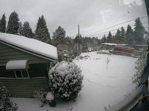 Seattle December 26 2021 Snow Timelapse