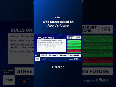 Wall Street mixed on Apple's future