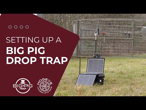 Big Pig Drop Trap Assembly