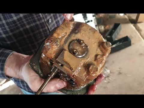 New Shelves, New Oil, New Pigeon