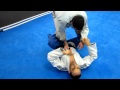 Brazilian Jiu Jitsu (BJJ) 3 Easy & Efficient De La ...