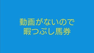 スターホース4／JPダイジェスト