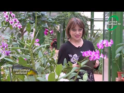 Emisiunea "Din lumea satului" 21 decembrie 2014