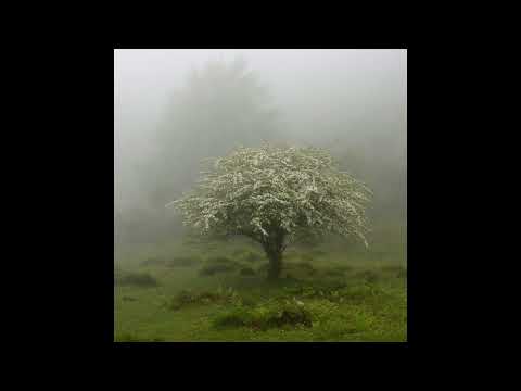 [FREE] h jeunecrack + abel31 type beat - "2 meufs" (p. 6min)