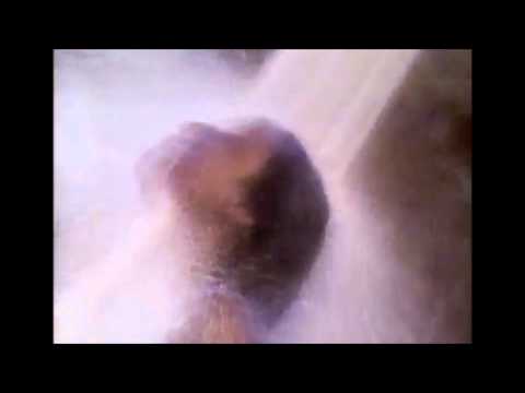 Infinity Frequencies - Sunset Limited [Full album]