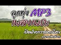 ลูกทุ่ง MP3 รวมเพลงเพราะเสียงคุณภาพ ฟังต่อเนื่อง