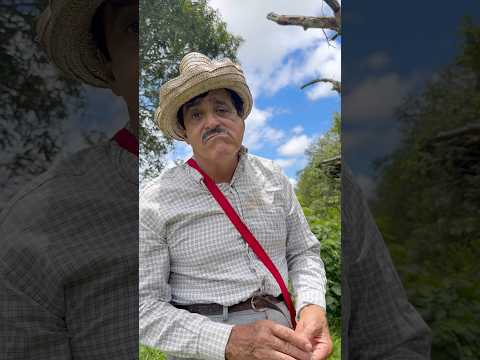 É pra acabar com o pequi do Goiás, eu sou simples demais 😂