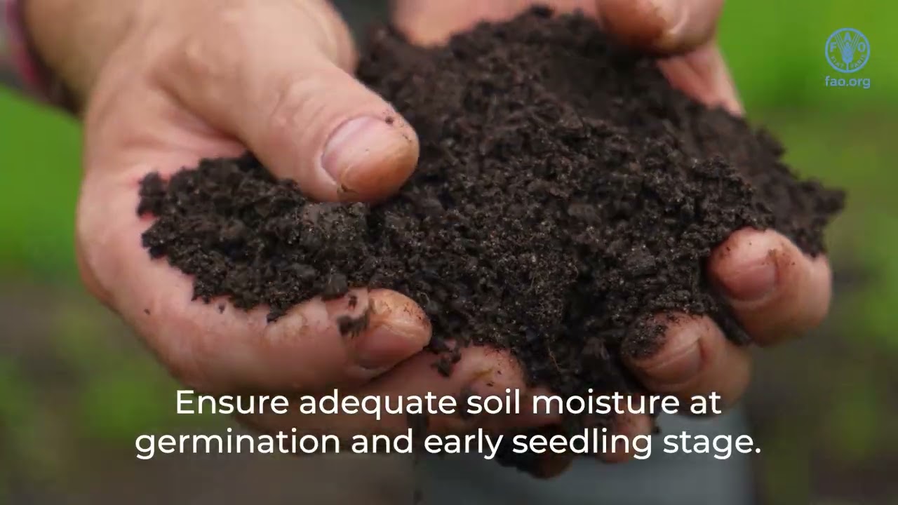 Scaling Quinoa as Bhutan’s Special Agricultural Product (Technical)
