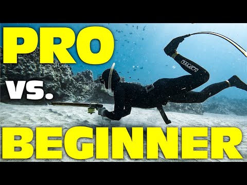 Beginner VS Pro Spearfishing Mistakes