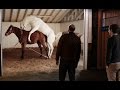 Silicon Valley Horse Sex Scene Season 3 Episode 2 Fixed Audio