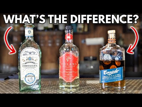 Blanco vs Reposado vs Añejo Tequila: What's the Difference?