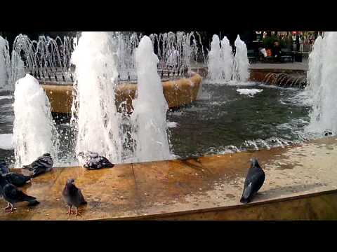 Allview P5 Alldro video sample III. - Mobilissimo.ro