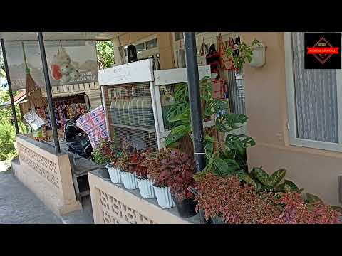 Kampung sungai jambu dari pulai,piliang ateh,bonca,palo koto dan sampai taluak.