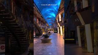 malayali cruise life experience job minivlog #malayalam #kerala #minivlog #travel #cruise #viral