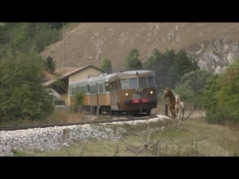 2017-09-16 120°Anniversario della "Transiberiana d'Italia" 4/7 - Le "littorine" di Fondazione FS