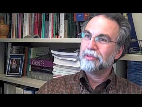 Gregg Semenza of Johns Hopkins Medicine on HIF 1