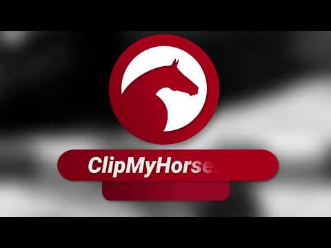 Max Kühner 🇦🇹 🥇 gewinnt 🏆 mit Elektric Blue P das Finale---