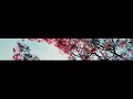 Ummii Official Video Clip By Ibsa Abdi Saalahaddin Seid 2020