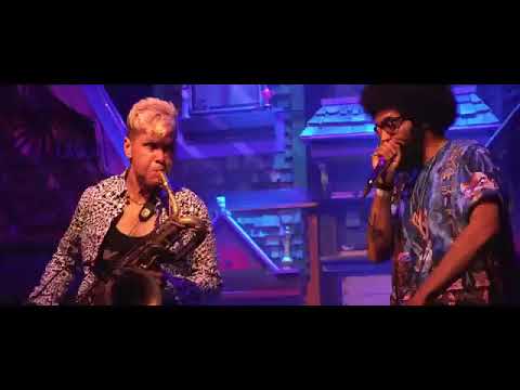 HONEYCOMB W/ LEO P. FROM TOO MANY ZOOZ