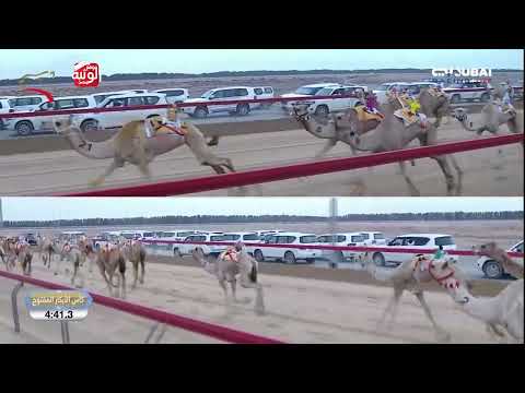 ش 1 كأس مفتوح (الجزيرة) ناجي مسفر الرزق العجمي 7:24:20 ، ختامي المرموم 2026/03/24 لقايا