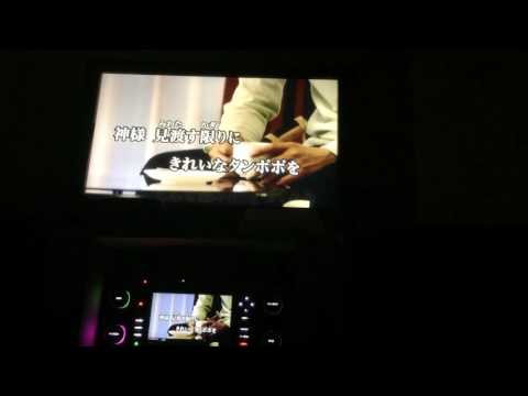とっておきの唄音域 Bump Of Chicken Hi Voice とっておきの唄音域 Bump Of Chicken Hi Voice