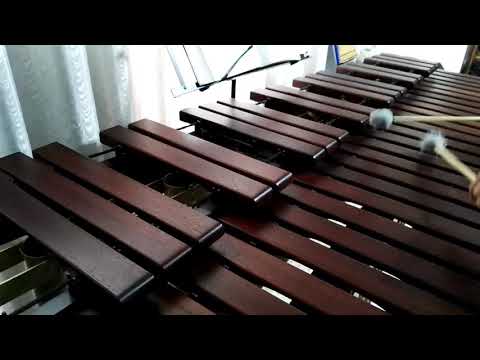 Inni di lode N°478: Io credo in Dio Marimba Cover