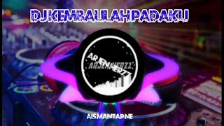 Download lagu DJ KEMBALILAH PADAKU 2021 TERBARU mp3