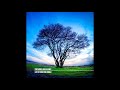 PICTURES ON SILENCE  -  CUT OFF FROM THE WORLD