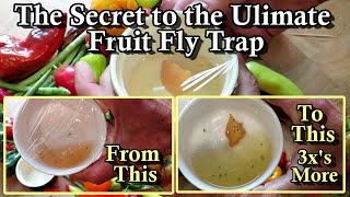 The Secret to the Ultimate Fruit Fly Trap for Garden Harvests: Get Them Out of Your Kitchen Faster!