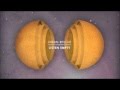 Urban Rescue - Listen Empty 