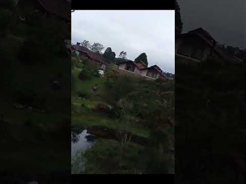 Rancho Queimado tava tão bonito que eu esqueci de pilotar 😂🌲 Bati na árvore 3x