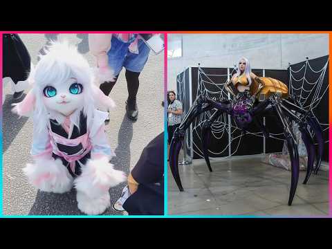 Cat Anime Costumes