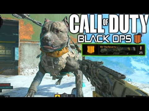 Black Ops 4 BETA: An HONEST Review + MAX Rank Achieved! (DAY 1)
