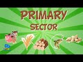 Primary Sector Jobs And Their Classification Educational Videos For Kids