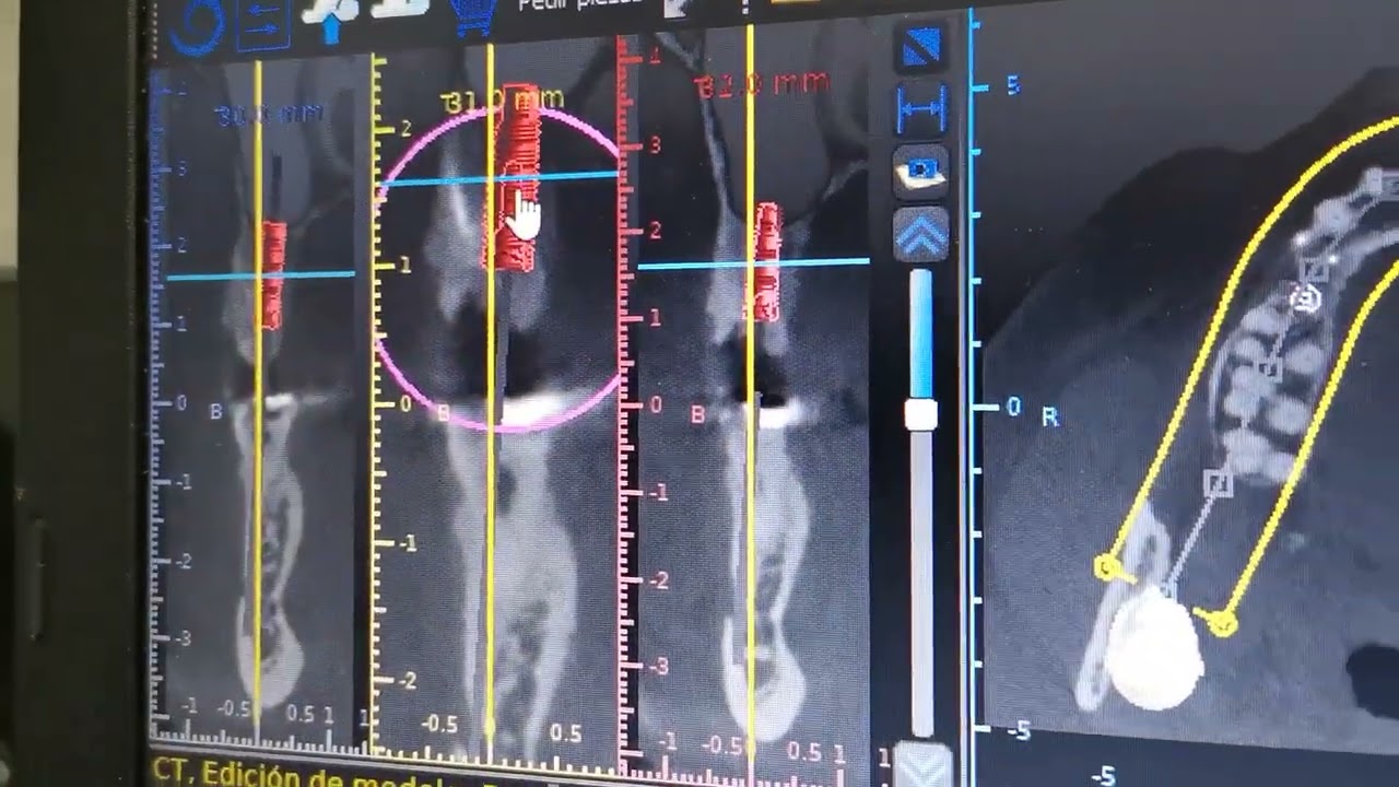 Alejandra Rodríguez Goncalves-39