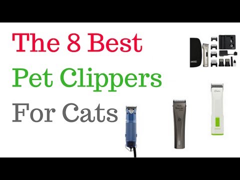 Best Pet Clippers For Cats