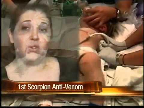 1st- ever treatment for scorpion stings