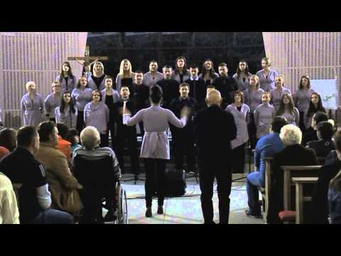 Zbor Anima Una - Niska istine