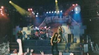 Metallica - Free Speech For The Dumb