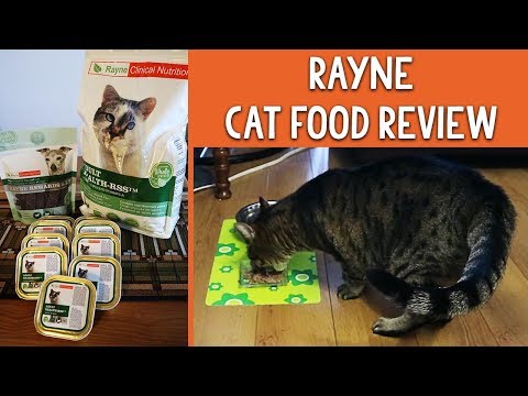 Cat Reacts to Food: Sati tries Rayne Whole Food Pet Food