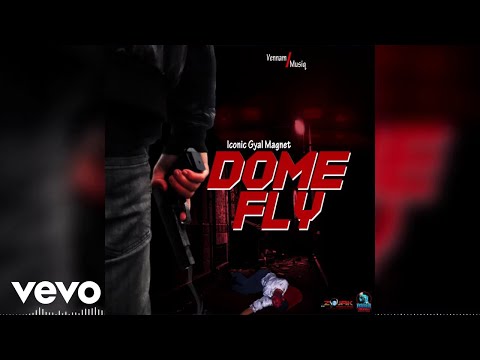 Ikonnic - Dome Fly (Official Audio)
