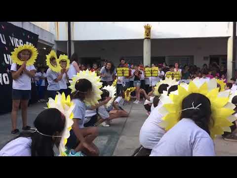 Orquesta tio rolo escuela 1372