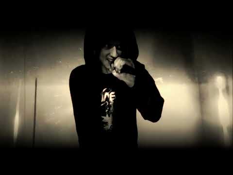 Pendulum x Hybrid Minds - Louder Than Words (Vocal Cover by Tomáš Karban)