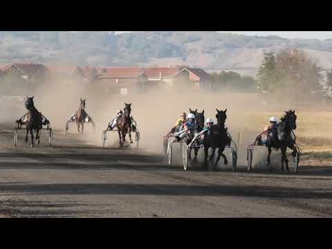 Trka "Badi" 11.10.2018 Imola-Branko Skenderović