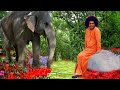 Gauri Ganesh Uma Ganesh 