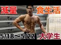 春休み中の学生ボディビルダーによる減量生活 5/18〜5/22