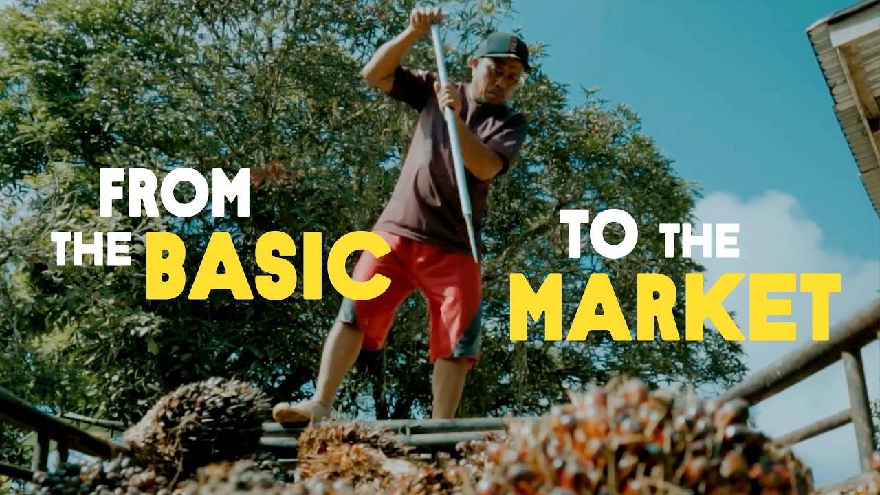 From the Basic to the Market: Tackling Deforestation in Indonesian Palm Oil Plantations
