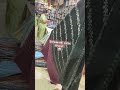 Saraswathi Saree ️