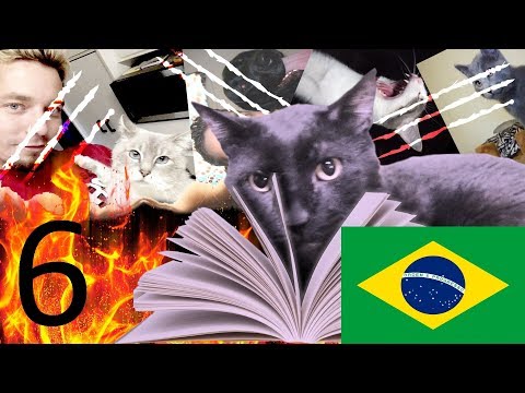 O Diário de Sylvester (Dublado) - Ep6 - O Gatinho Que Voa